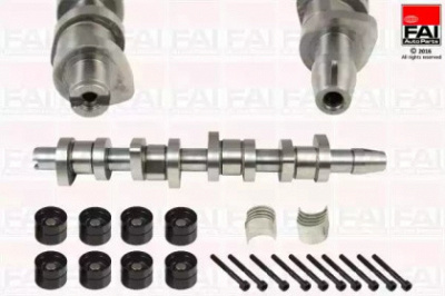 FAI AUTOPARTS csk248c -  Комплект распредвала
